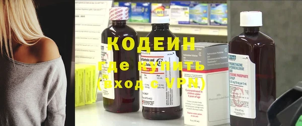 индика Нягань