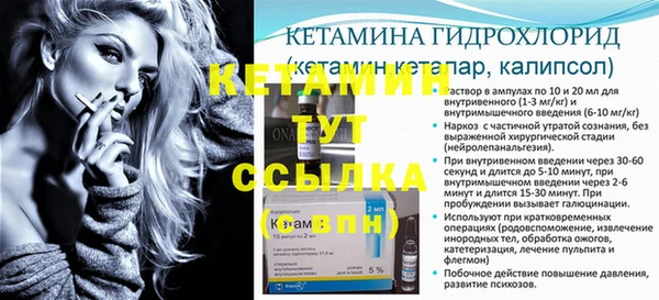хмурый Няндома