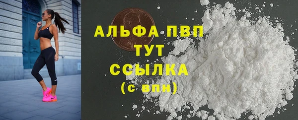хмурый Няндома